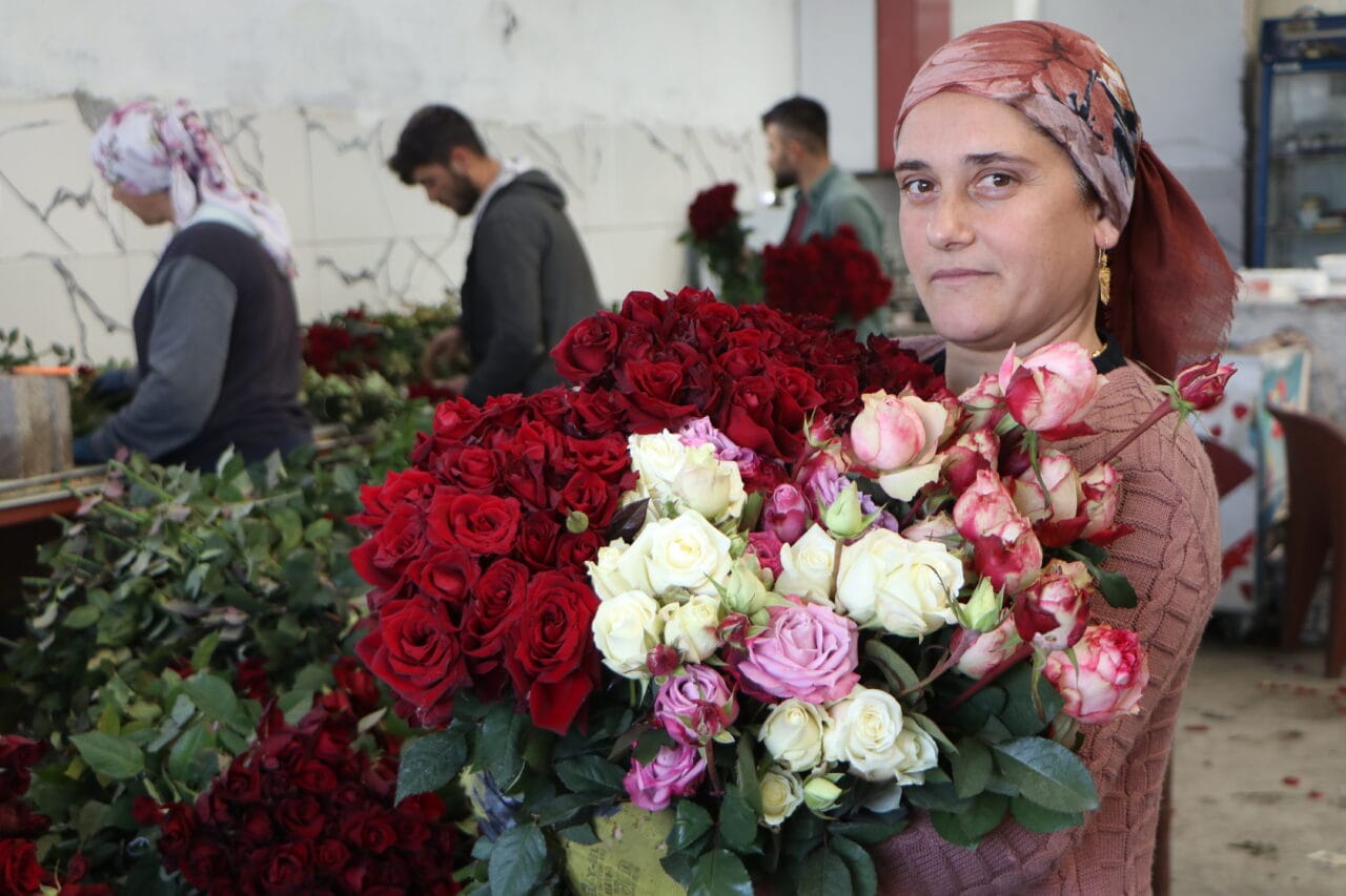 Adana’da 27 yıldır gül üreten Tayboğa çifti, 14 Şubat için