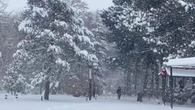 Erzincan’da gece başlayan kar yağışı kent merkezini beyaza bürüdü. 524
