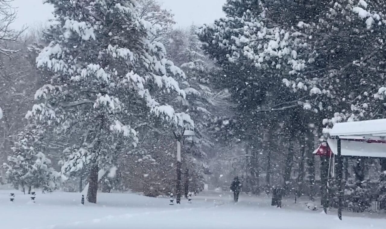 Erzincan’da gece başlayan kar yağışı kent merkezini beyaza bürüdü. 524