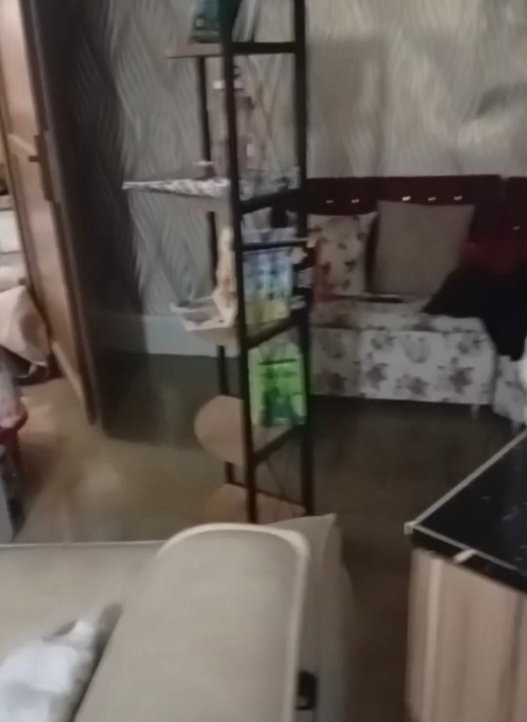 Hatay’ın Samandağ ilçesinde etkili olan sağanak yağış, Tekebaşı Mahallesi’nde derenin