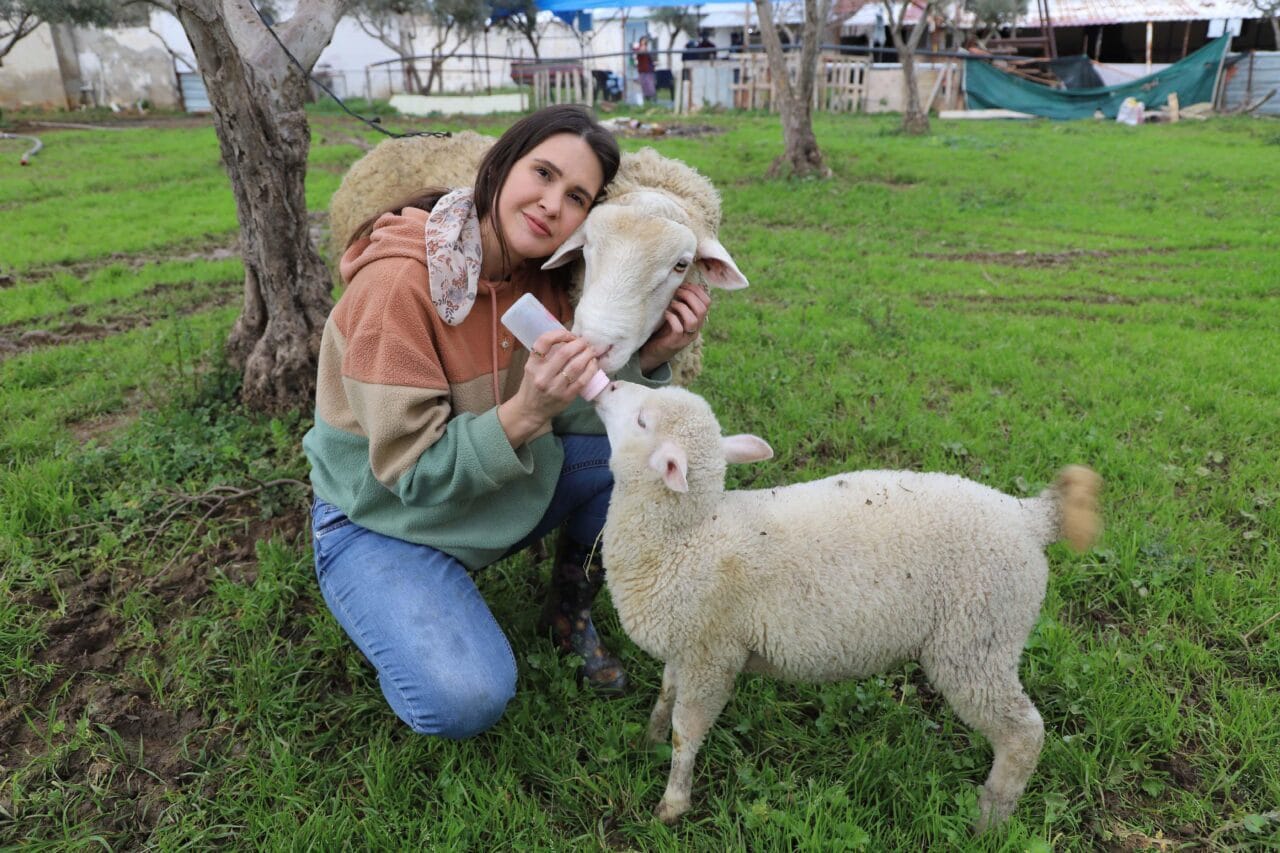 Aydın Adnan Menderes Üniversitesi Uygulama ve Araştırma Hastanesi’nde görev yapan hemşire Rümeysa Taşova, mesaisinde acil yoğun bakımda hastalara şifa dağıtırken, izin günlerinde aile çiftliğinde hayvan bakımı yapıyor. Taşova, iki yılda kendi hayvan varlığını da oluşturdu.