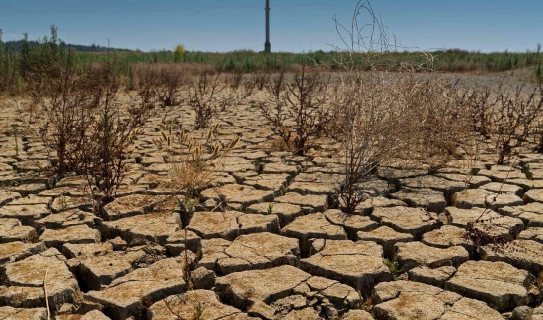 Prof. Dr. Murat Türkeş, Türkiye’de kış yağışlarının meteorolojik kuraklığı azaltmasına