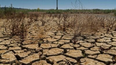 Prof. Dr. Murat Türkeş, Türkiye’de kış yağışlarının meteorolojik kuraklığı azaltmasına