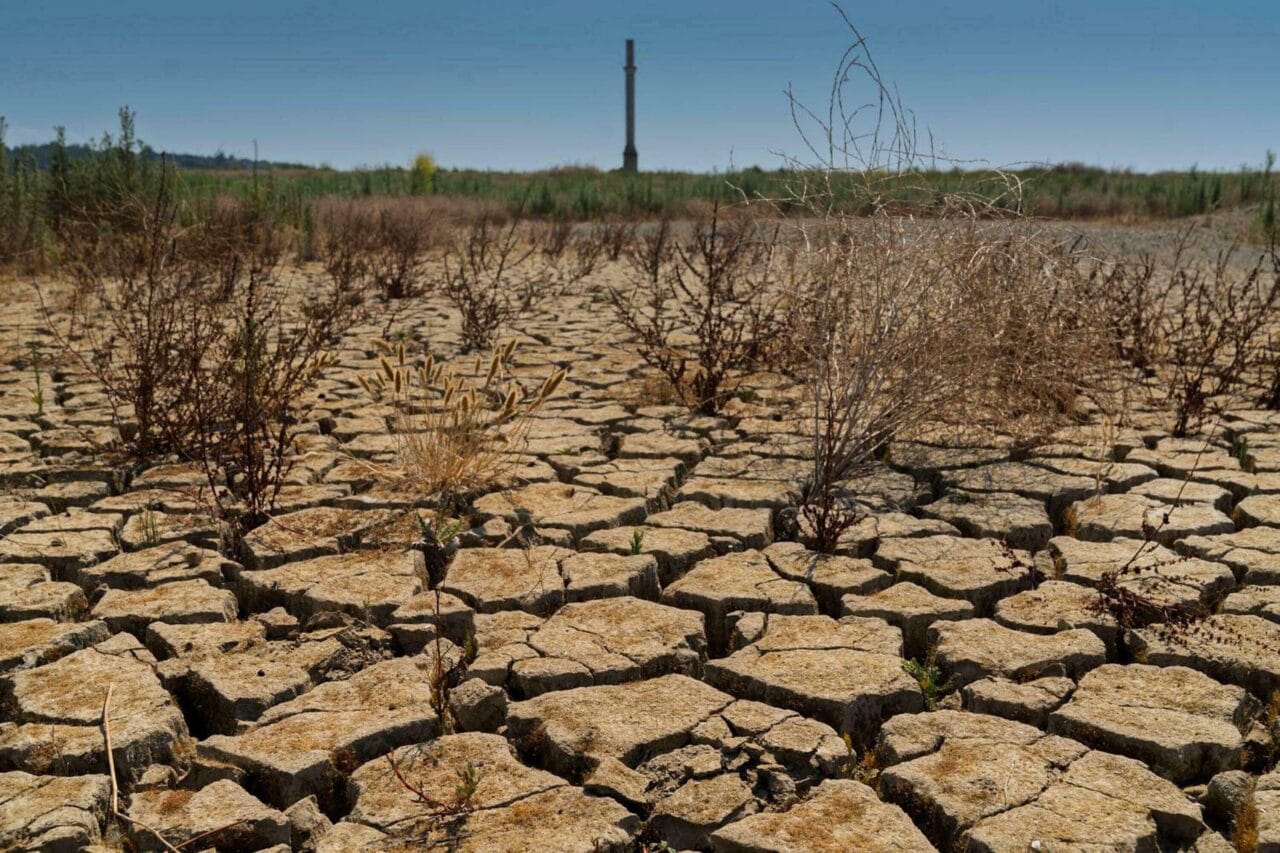 Prof. Dr. Murat Türkeş, Türkiye’de kış yağışlarının meteorolojik kuraklığı azaltmasına