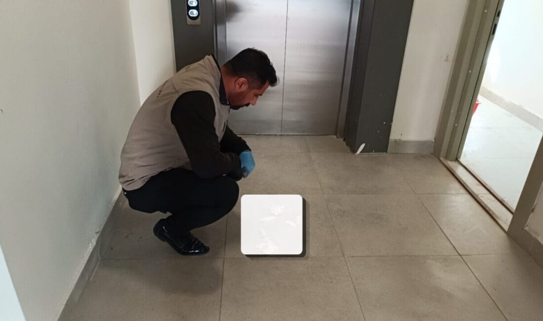 Adıyaman’da Apartman Girişinde Parçalanmış Kedi Bulundu Adıyaman’ın Besni ilçesinde apartman girişinde parçalanmış halde yavru kedi bulundu.