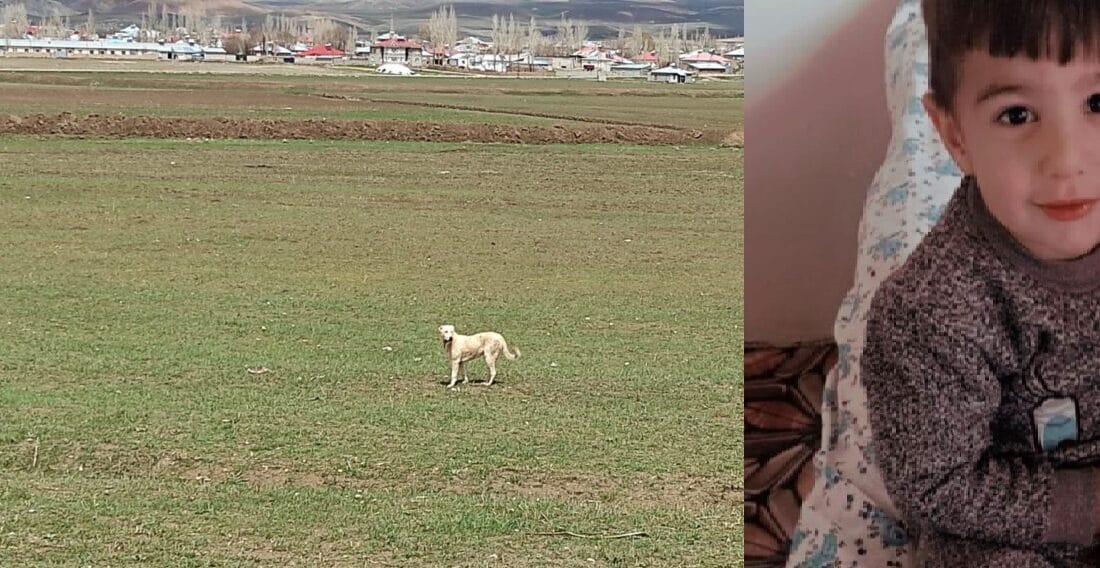 Van’da Köpek Saldırısı: 5 Yaşındaki Hamza Toprağa Verildi Van’ın Saray ilçesinde başıboş köpeklerin saldırısında hayatını kaybeden 5 yaşındaki