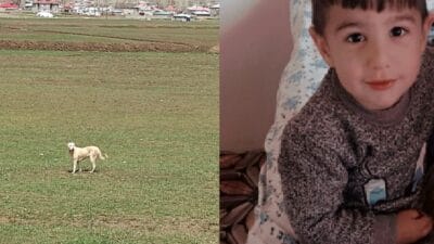 Van’ın Saray ilçesinde başıboş köpeklerin saldırısında hayatını kaybeden 5 yaşındaki