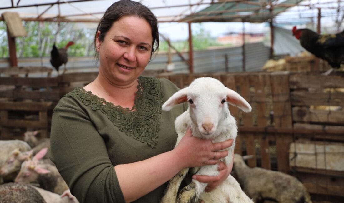 İzmir’de İlknur Öktem, oğlunun doğumunda hediye edilen bir kuzuyla başladığı