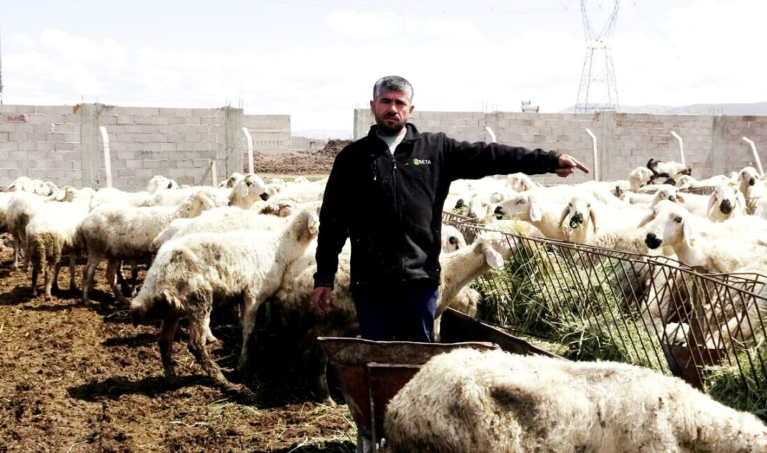 Kayseri’de besicilik yapan üretici, 80 bin TL’ye varan maaş ve