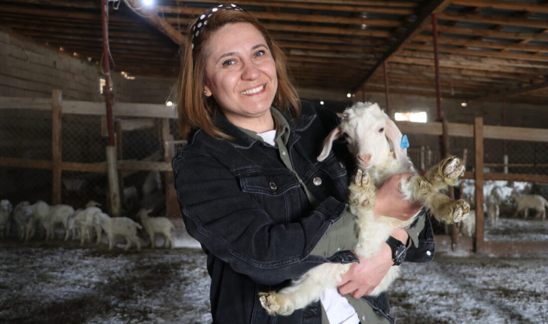 Nazlı Uyar, Ankara’da devlet desteğiyle başladığı keçi yetiştiriciliğinde 6 yılda