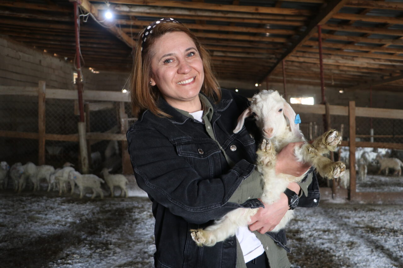 Nazlı Uyar, Ankara’da devlet desteğiyle başladığı keçi yetiştiriciliğinde 6 yılda