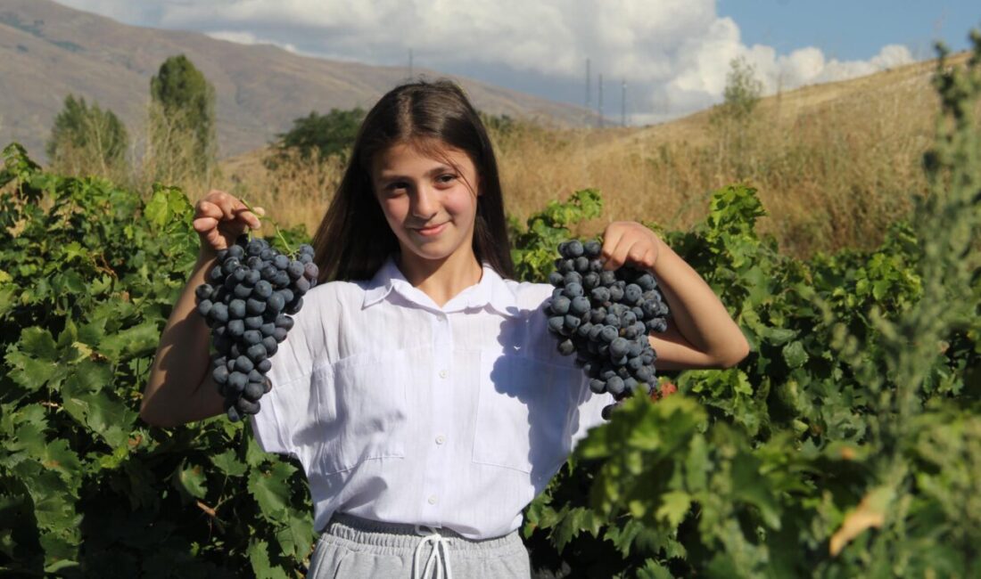 Erzincan’ın yöresel lezzetleri tulum peyniri ve Cimin üzümü, Slow Food’un