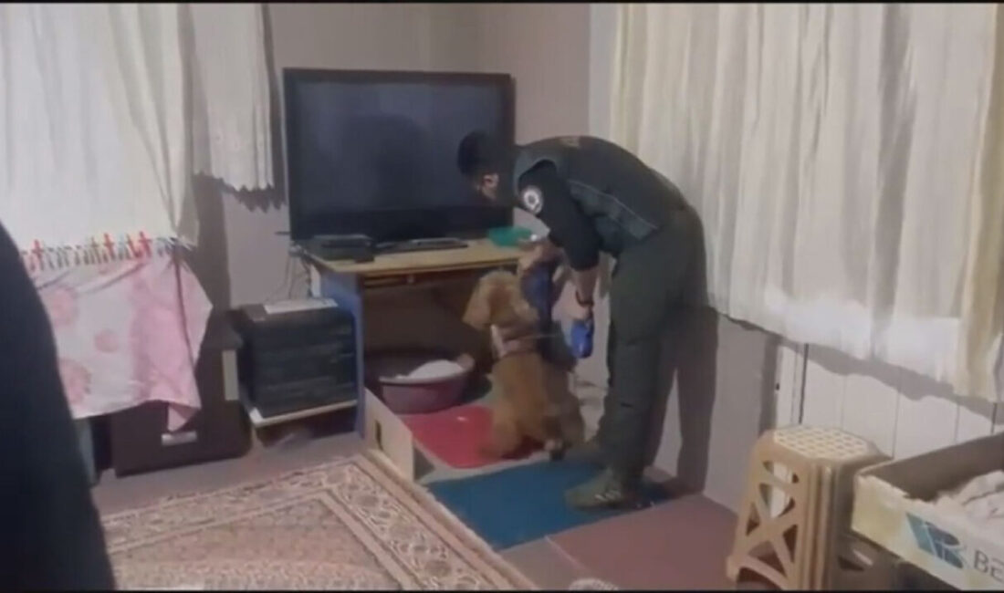 İstanbul Beykoz ve Çekmeköy’de düzenlenen uyuşturucu operasyonunda 11 şüpheli gözaltına