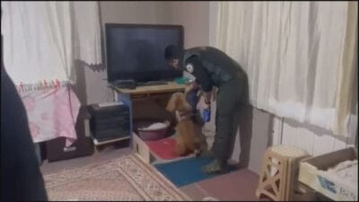 İstanbul Beykoz ve Çekmeköy’de düzenlenen uyuşturucu operasyonunda 11 şüpheli gözaltına