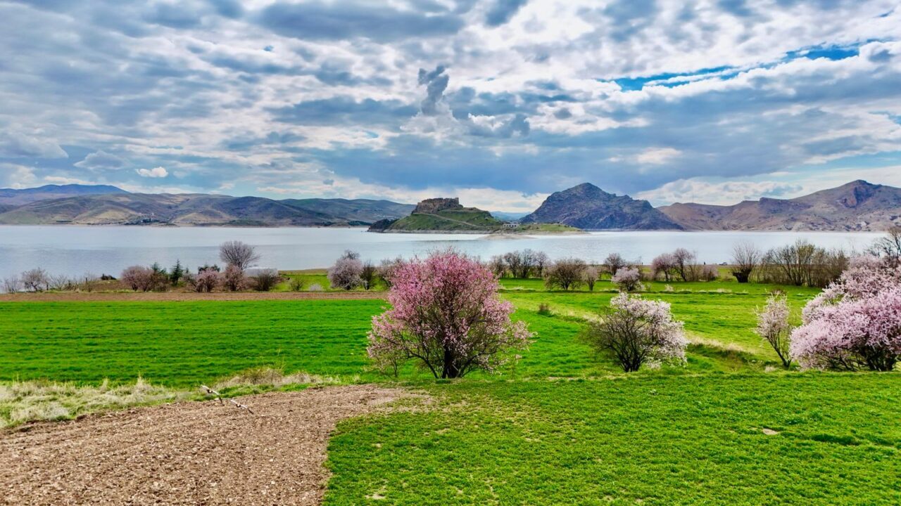 Badem ağaçlarının oluşturduğu beyaz ve pembe tonlar, bölgeye adeta bahar havası getirdi. Doğanın uyanışıyla birlikte ortaya çıkan renk çeşitliliği, ilçe sakinleri kadar fotoğraf tutkunlarının da ilgisini çekti.