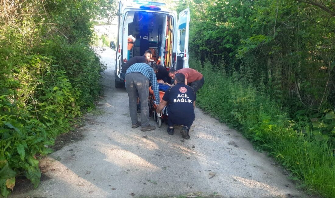 Kastamonu’da Arının Soktuğu Kadın Hastanelik Oldu Kastamonu'nun Cide ilçesinde 53 yaşındaki Tülay Bağ, bahçesindeyken komşusunun arısı