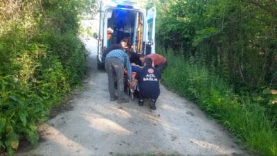 Kastamonu'nun Cide ilçesinde 53 yaşındaki Tülay Bağ, bahçesindeyken komşusunun arısı