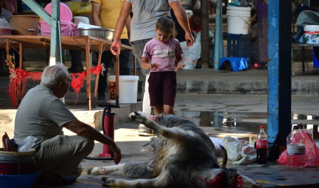 Kurban Bayramı Öncesi Kritik Uyarı: 12 Yaş Altı Çocuklara Dikkat Yaklaşan Kurban Bayramı öncesinde hem ibadetin dini usulleri hem de