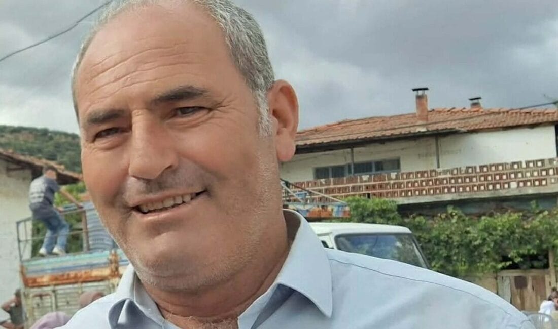 Manisa'nın Selendi ilçesinde Kayranlar Mahallesi Muhtarı Niyazi Çahan, zeytin bahçesinde