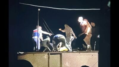 Şanlıurfa Ceylanpınar'da öğle saatlerinde kaybolan 5 yaşındaki Miraç'tan gece yarısı