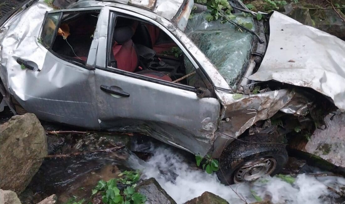 Ordu'nun Ulubey ilçesinde fındık bahçesinde manevra yaparken kontrolden çıkıp 350