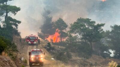 Aydın'ın Çine ilçesinde 150 haneli köyün boşaltılmasına neden olan orman