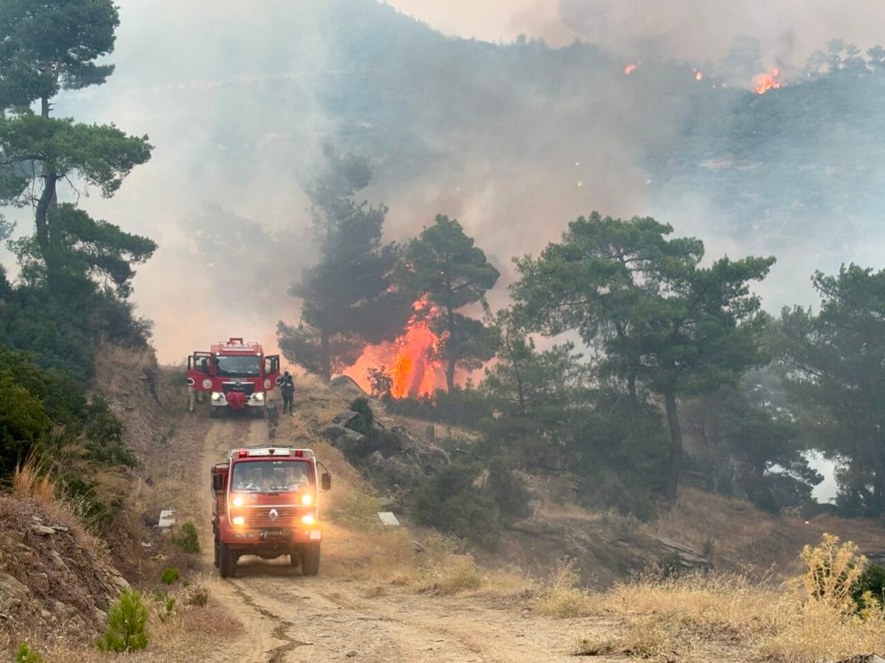 Aydın'ın Çine ilçesinde 150 haneli köyün boşaltılmasına neden olan orman