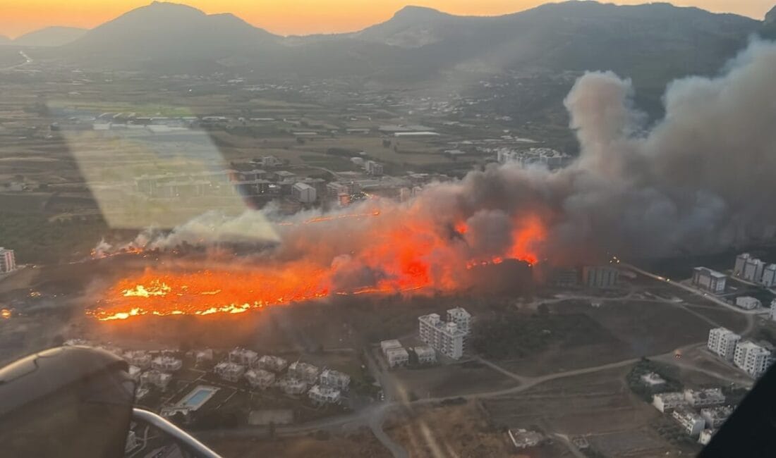 Mersin'in Silifke ilçesinde yerleşim yerlerinin yanı başındaki ağaçlık alanda çıkan