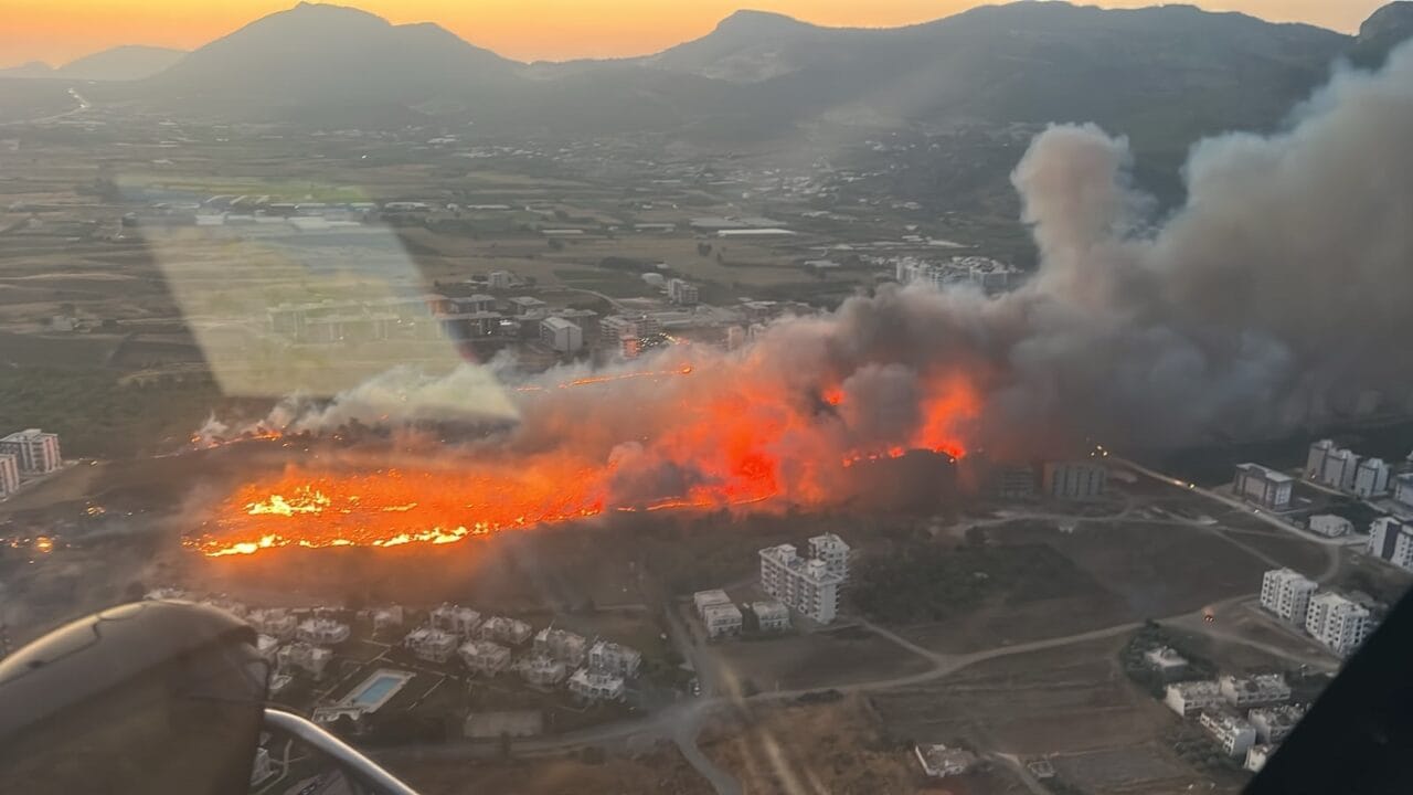 Mersin'in Silifke ilçesinde yerleşim yerlerinin yanı başındaki ağaçlık alanda çıkan