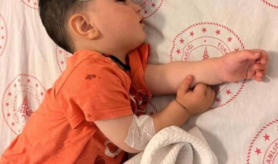 Şanlıurfa’da 1,5 Yaşındaki Çocuğa Sokak Köpeği Saldırdı Şanlıurfa'nın Halfeti ilçesinde evinin önünde oyun oynarken başıboş bir sokak