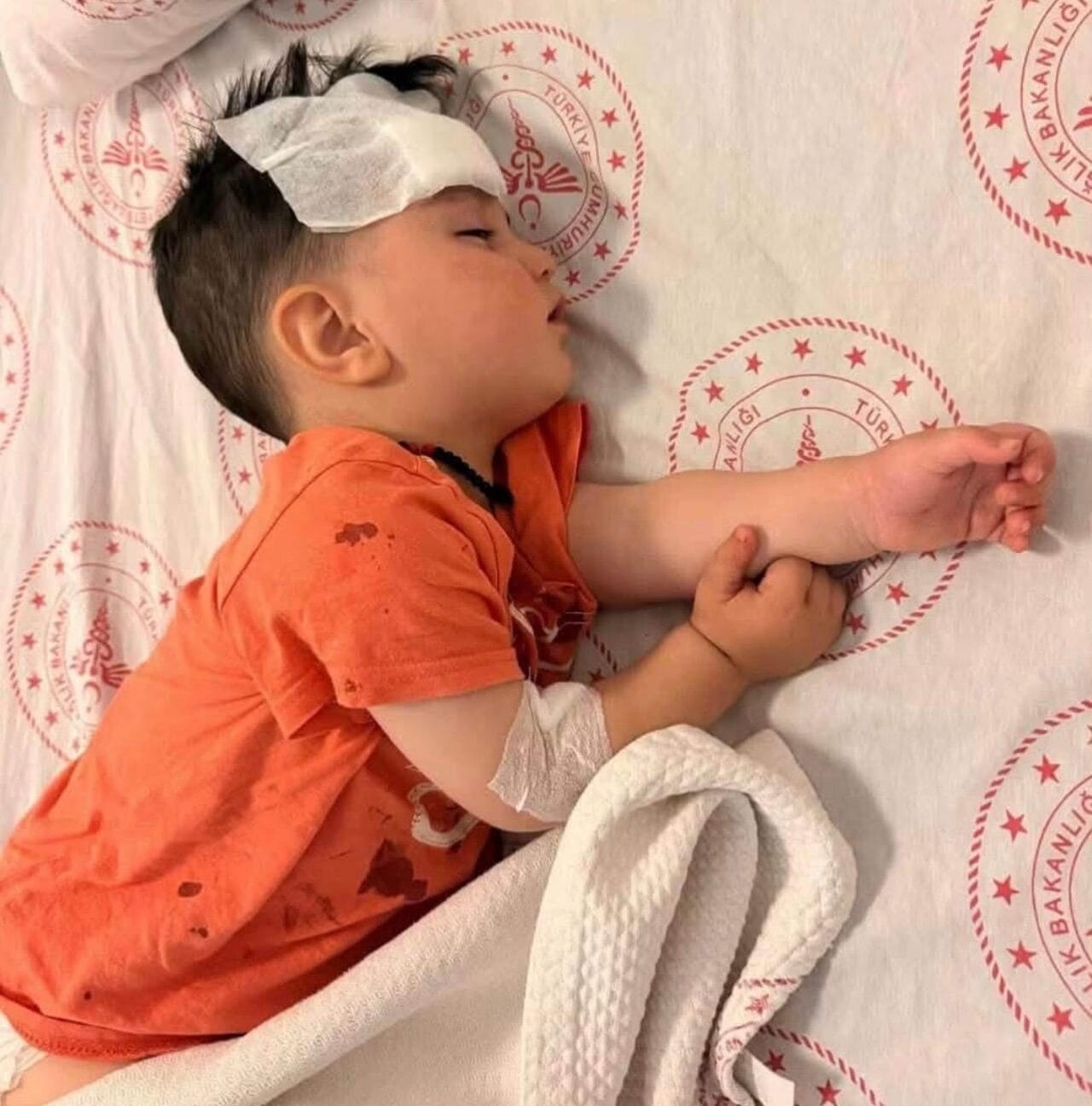 Şanlıurfa'nın Halfeti ilçesinde evinin önünde oyun oynarken başıboş bir sokak