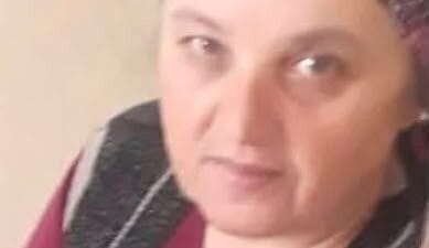 Zonguldak’ın Ereğli ilçesinde fındık bahçesinde çalışırken eşek arısının soktuğu ve