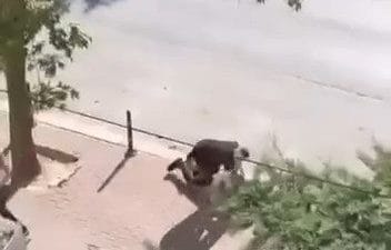 "İki husumetli arasındaki arbede anları çevredekilerin cep telefonu kamerasına yansırken,