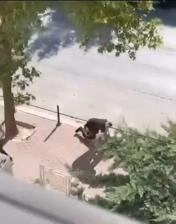 Konya’da Alacak Kavgası Kanlı Bitti "İki husumetli arasındaki arbede anları çevredekilerin cep telefonu kamerasına yansırken,
