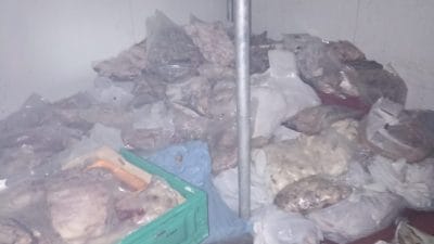 Bodrum Gümbet'te depodan yayılan kötü koku üzerine inceleme yapan zabıta