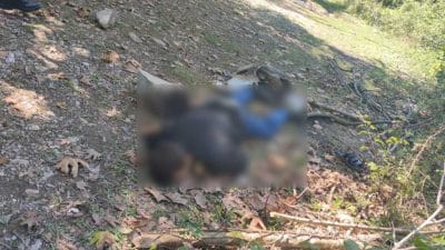 Kastamonu'nun Cide ilçesinde balık tutan köylüler tarafından dere kenarında av