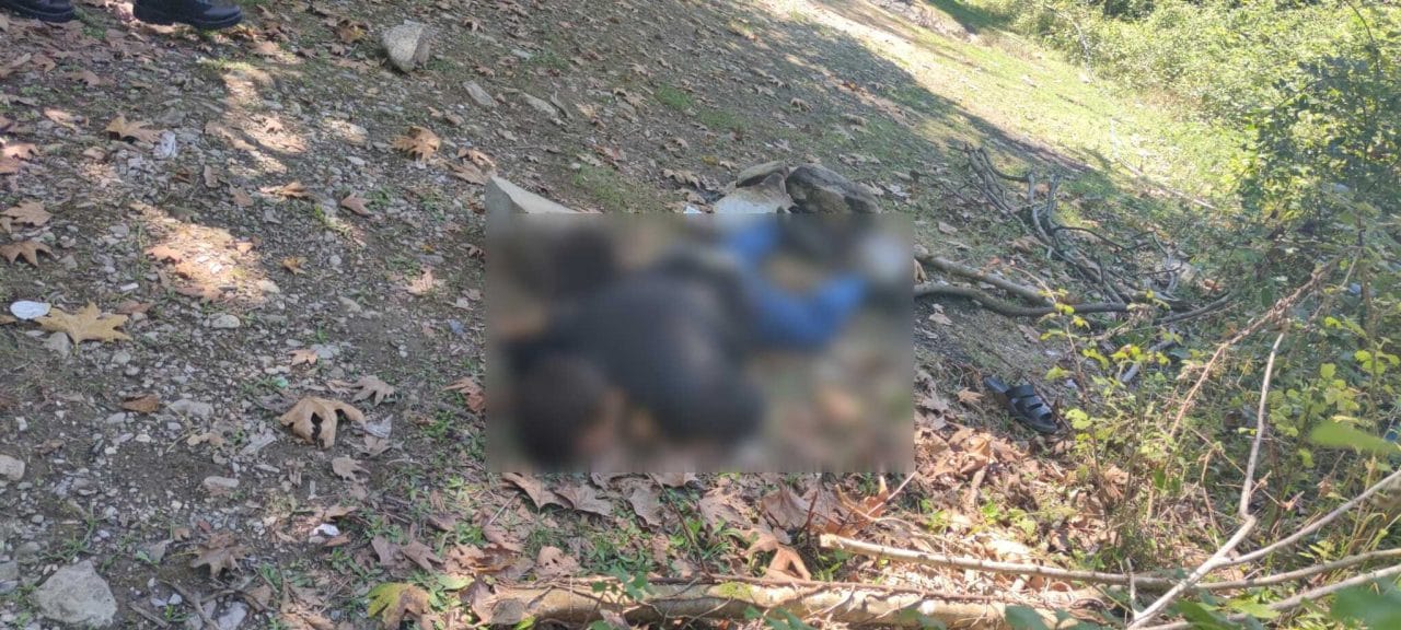 Kastamonu'nun Cide ilçesinde balık tutan köylüler tarafından dere kenarında av