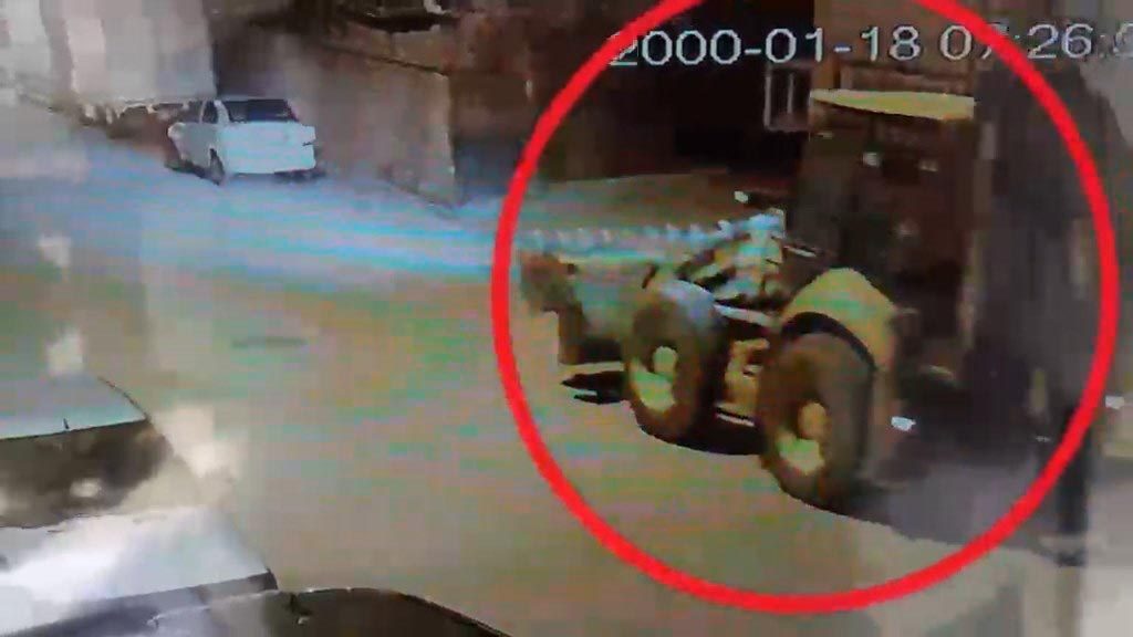 Milas Belediyesine yönelik 13 ilde gerçekleştirilen operasyonda Belediye Başkanı Fevzi