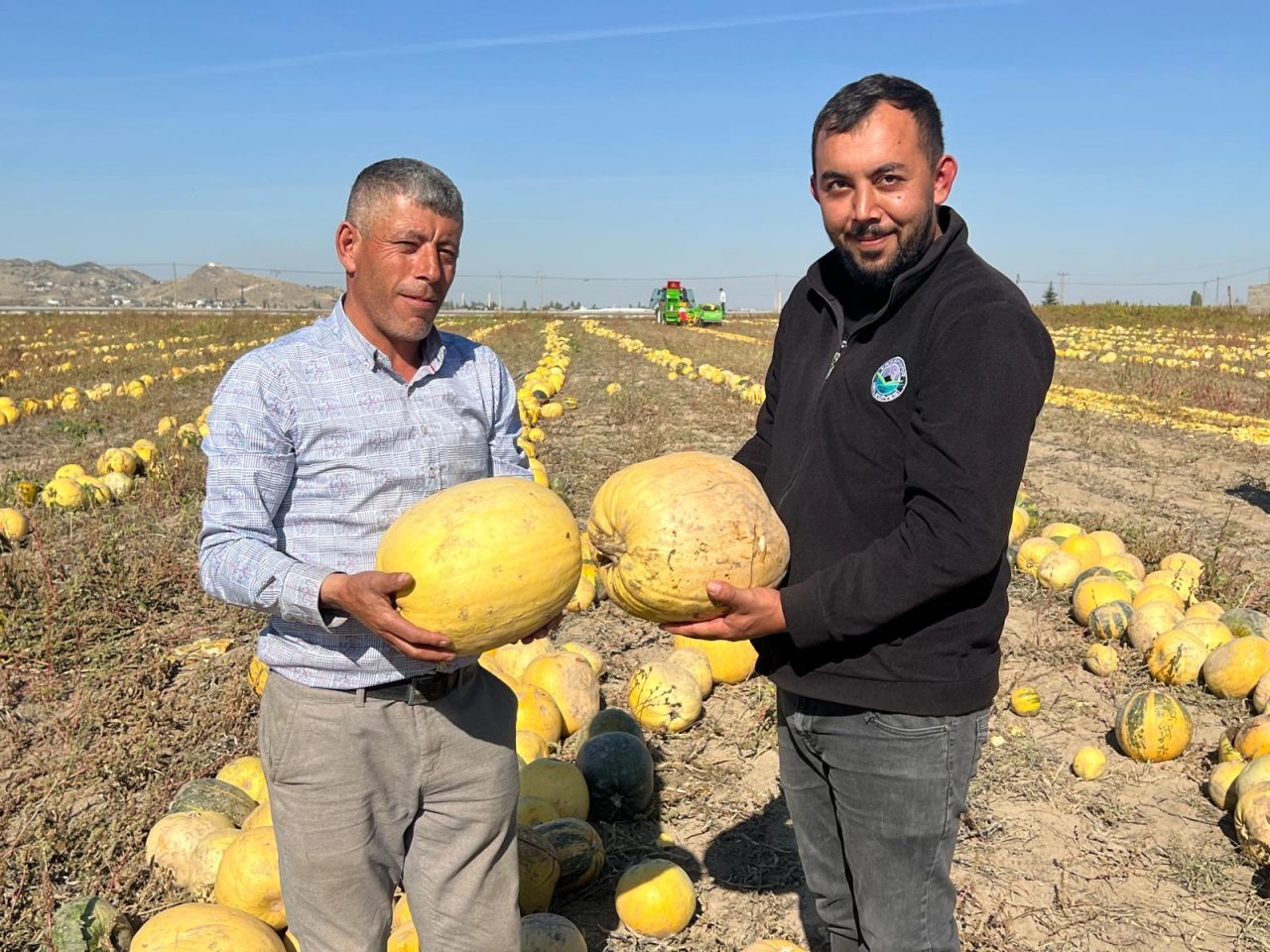 Nevşehir’de Kabak Çekirdeği Hasadı Başladı Nevşehir'de coğrafi işaretli çerezlik kabak çekirdeği hasadı başladı. Acıgöl ilçesindeki